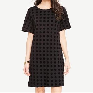 Ann Taylor Polka Dot T-shirt Dress